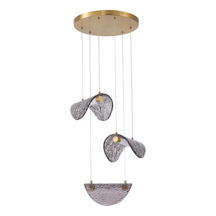 LED Hanglamp aan een koord LED/6W/230V 3000K
