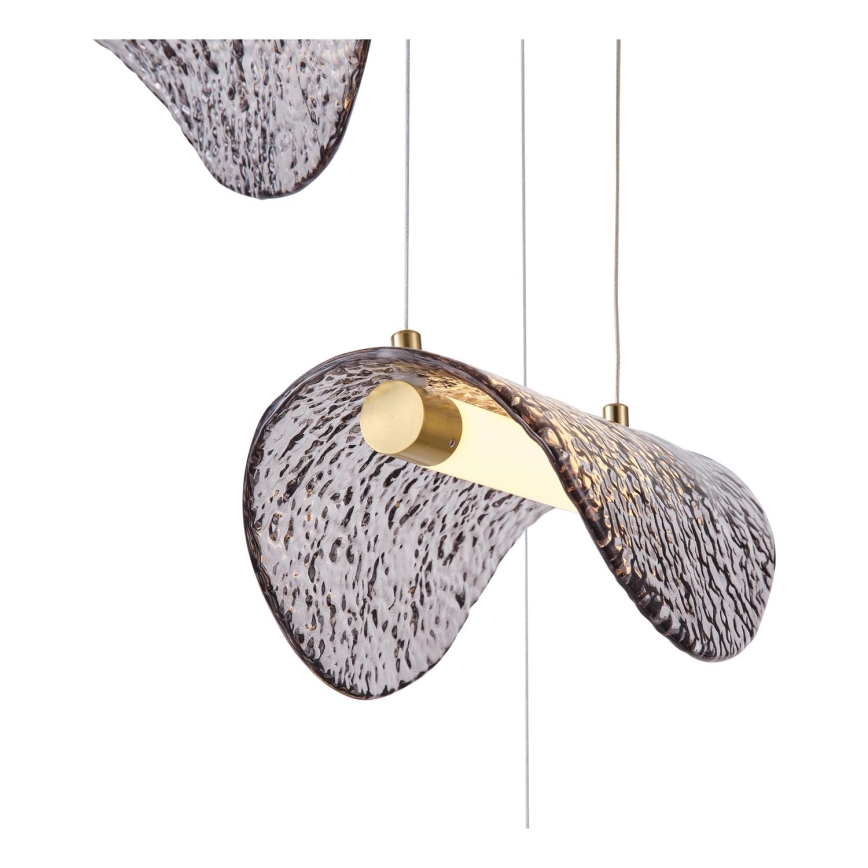 LED Hanglamp aan een koord LED/6W/230V 3000K