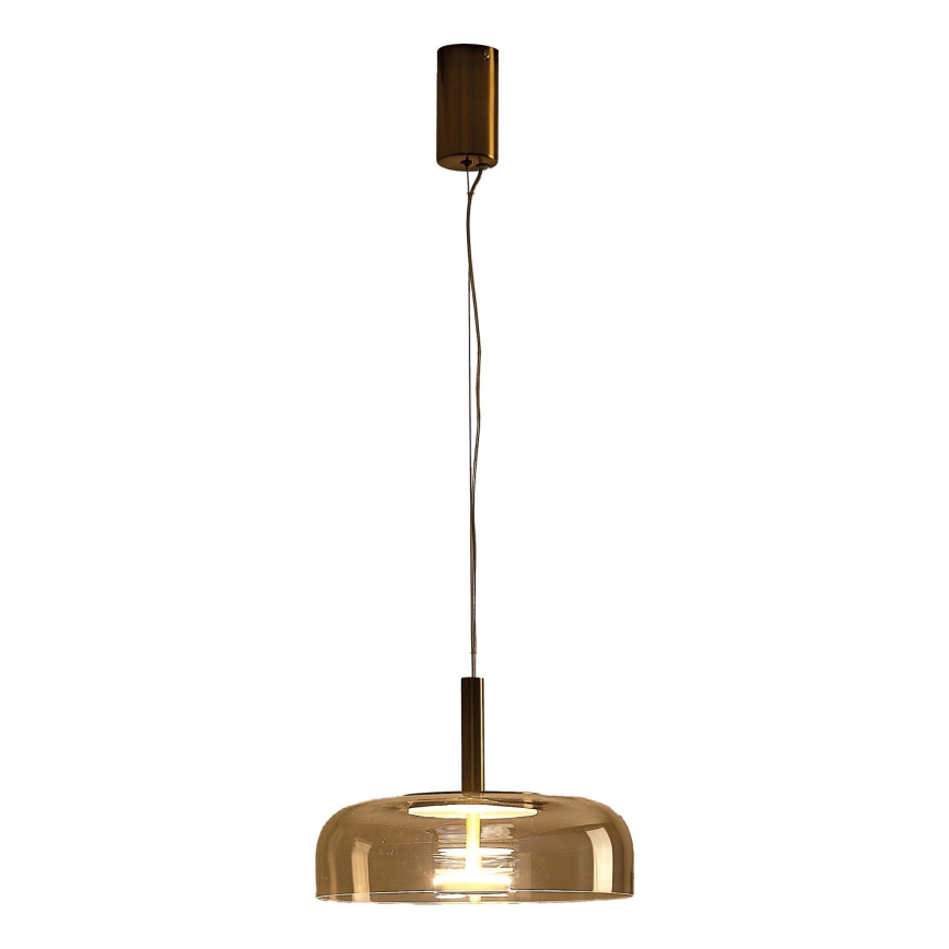 LED Hanglamp aan een koord LED/8W/230V 3000K diameter 30 cm
