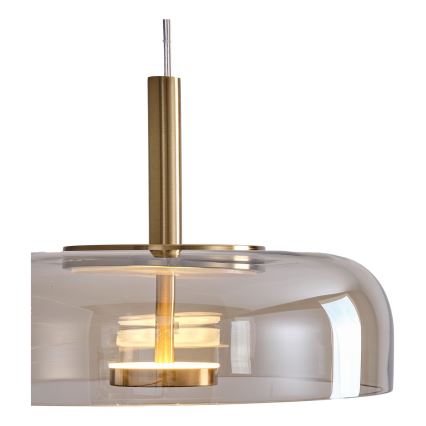 LED Hanglamp aan een koord LED/8W/230V 3000K diameter 30 cm
