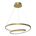 LED Hanglamp aan een koord LUCERO LED/48W/230V goud