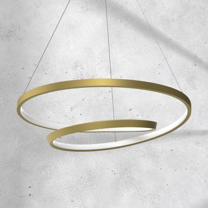 LED Hanglamp aan een koord LUCERO LED/48W/230V goud