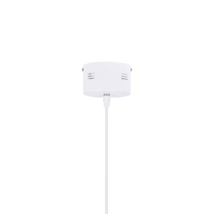 LED Hanglamp aan een koord LUND LED/10W/230V wit