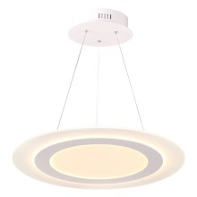 LED Hanglamp aan een koord MIKELI LED/17W/230V