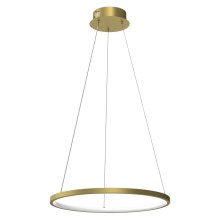 LED Hanglamp aan een koord ROTONDA LED/27W/230V goud