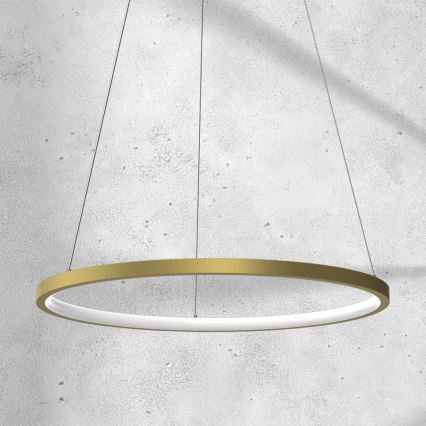 LED Hanglamp aan een koord ROTONDA LED/27W/230V goud