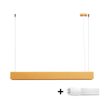 LED Hanglamp aan een koord SPARK 1xG13/8,5W/230V goud
