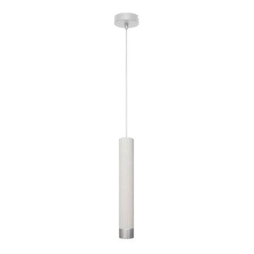 LED Hanglamp aan een koord TUBA 1xGU10/4,8W/230V wit/mat chroom