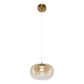 LED Hanglamp aan een koord VASO LED/4W/230V diameter 18 cm goud/gerookt