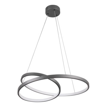 LED Hanglamp aan een koord ZEFIRA LED/40W/230V 4000K diameter 50 cm antraciet
