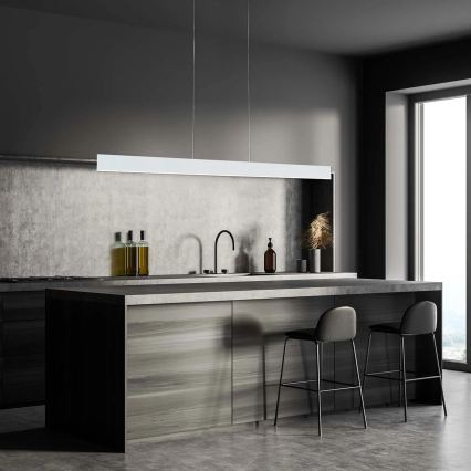 LED-hanglamp aan kabel BERNADETTA LED/20W/230V 4000K wit