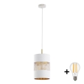 LED-hanglamp aan kabel BOGART 1xE27/15W/230V wit/goud