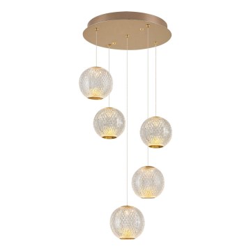 LED-hanglamp aan kabel CREMONA 5xLED/5W/230V 3000K goud