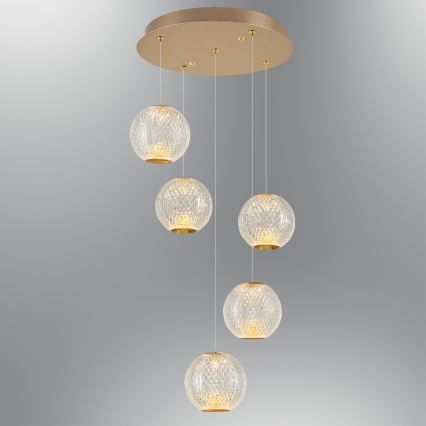 LED-hanglamp aan kabel CREMONA 5xLED/5W/230V 3000K goud
