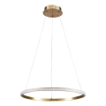 LED-hanglamp aan kabel DIANA LED/25W/230V 4000K Ø 50 cm goudkleurig