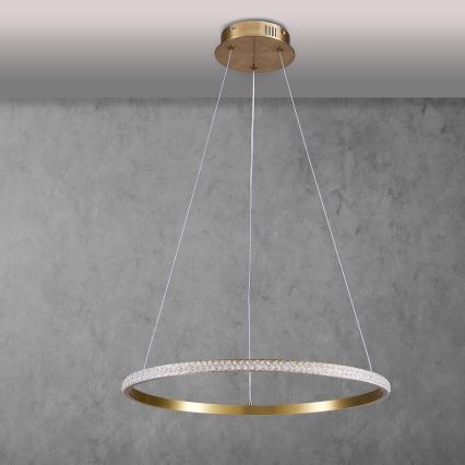 LED-hanglamp aan kabel DIANA LED/25W/230V 4000K Ø 50 cm goudkleurig