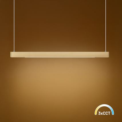 LED-hanglamp aan kabel LINEA LED/36W/230V 3000/4000/5700K CRI 90 goud