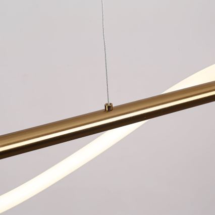 LED-hanglamp aan kabel MELECA LED/24W/230V 3000/4000/6000K 100 cm goud