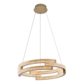 LED-hanglamp aan kabel TARJA LED/36W/230V 3000/4000/6000K Ø 60 cm goud