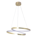 LED-hanglamp aan kabel ZEFIRA LED/40W/230V 4000K Ø 50 cm goudkleurig