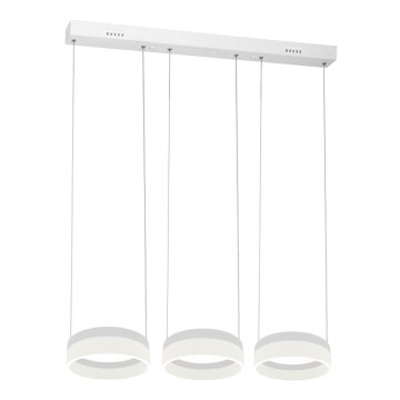 LED Hanglamp aan koord RING 3xLED/12W/230V