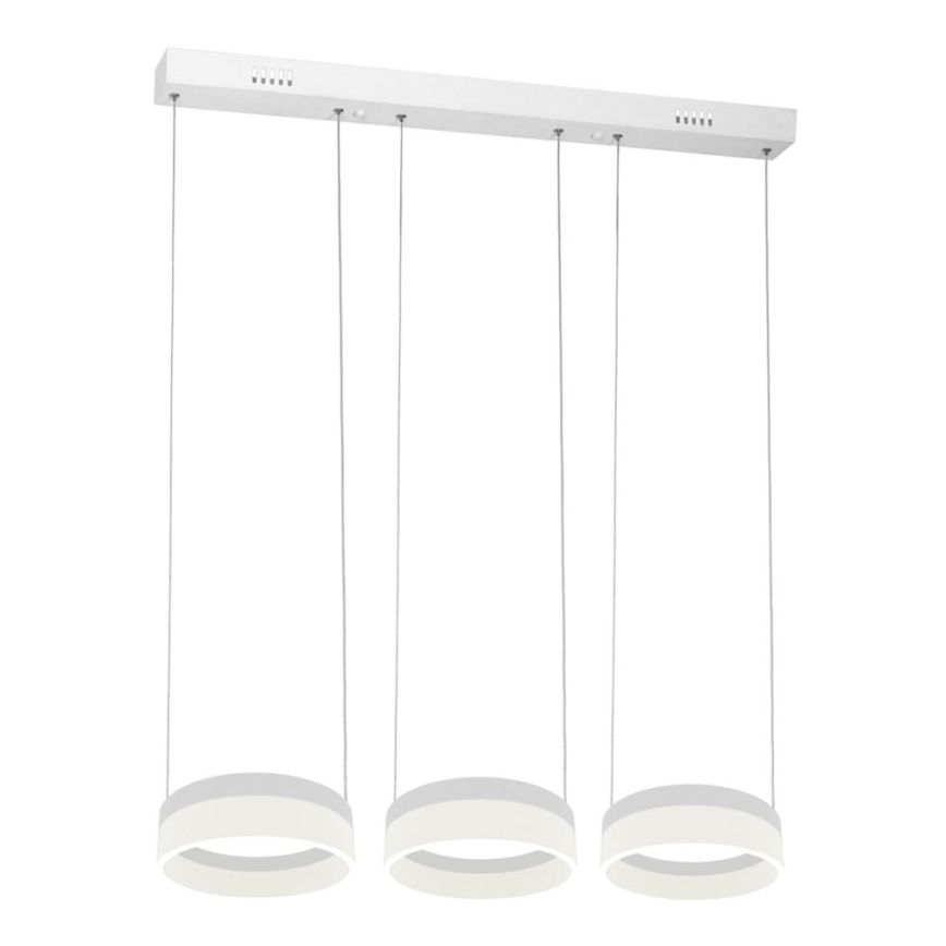 LED Hanglamp aan koord RING 3xLED/12W/230V