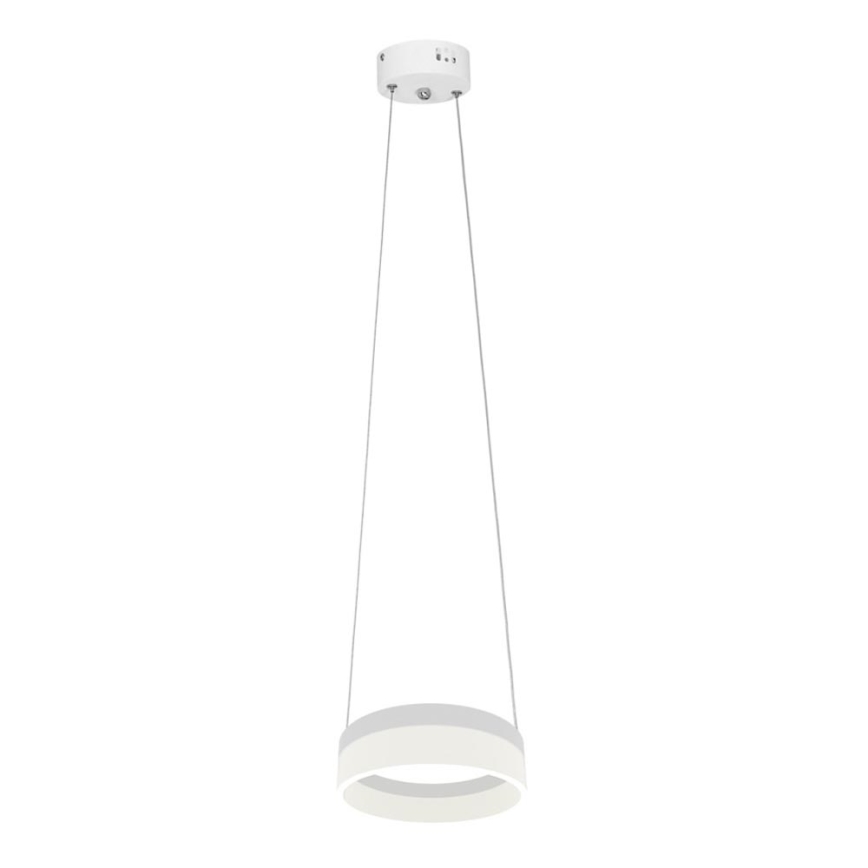 LED Hanglamp aan koord RING LED/12W/230V