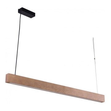 LED Hanglamp aan koord TEO 2xLED/28,5W/230V