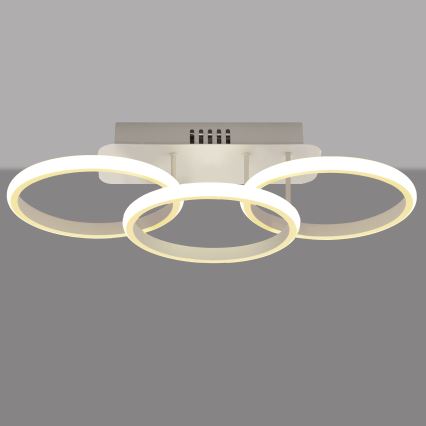 LED Hanglamp voor Oppervlak Montage BARI LED/30W/230V wit