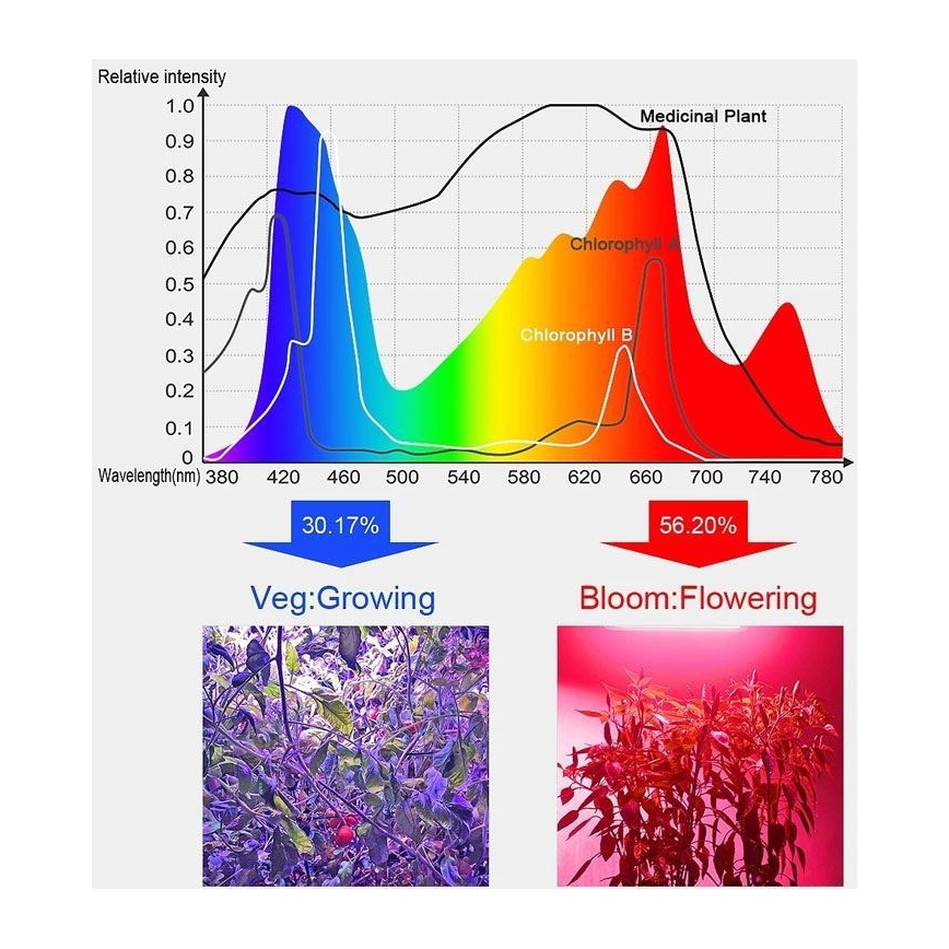 LED Hanglamp voor Plantengroei LED/24W/230V IP44