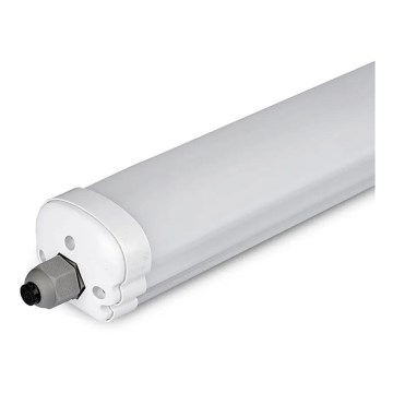 LED Industrie Lamp G-SERIES LED/36W/230V 120 cm 6400K IP65