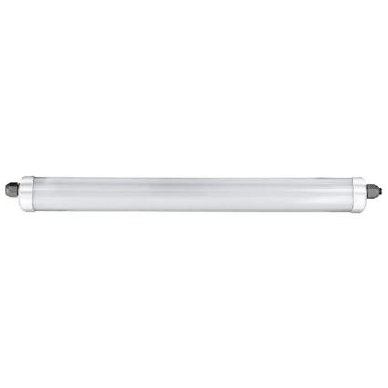 LED Industrie Lamp G-SERIES LED/36W/230V 120 cm 6400K IP65
