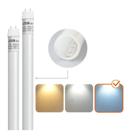 LED Industrie TL-Buis T8 2xG13/18W/230V 6500K IP65