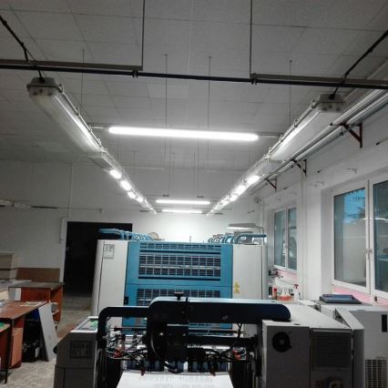 LED Industriële lamp LED/36W/230V IP40