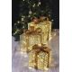 LED Kerst Decoratie 72xLED/1,35W/230V goud