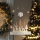 LED Kerst Decoratie LED/2xAA bos met rendieren