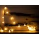LED Kerst Lichtketting voor Buiten CHERRY 40xLED 9m IP44 warm wit