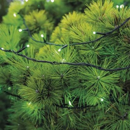 LED Kerst lichtsnoer voor buiten 100xLED/10m IP44 groen
