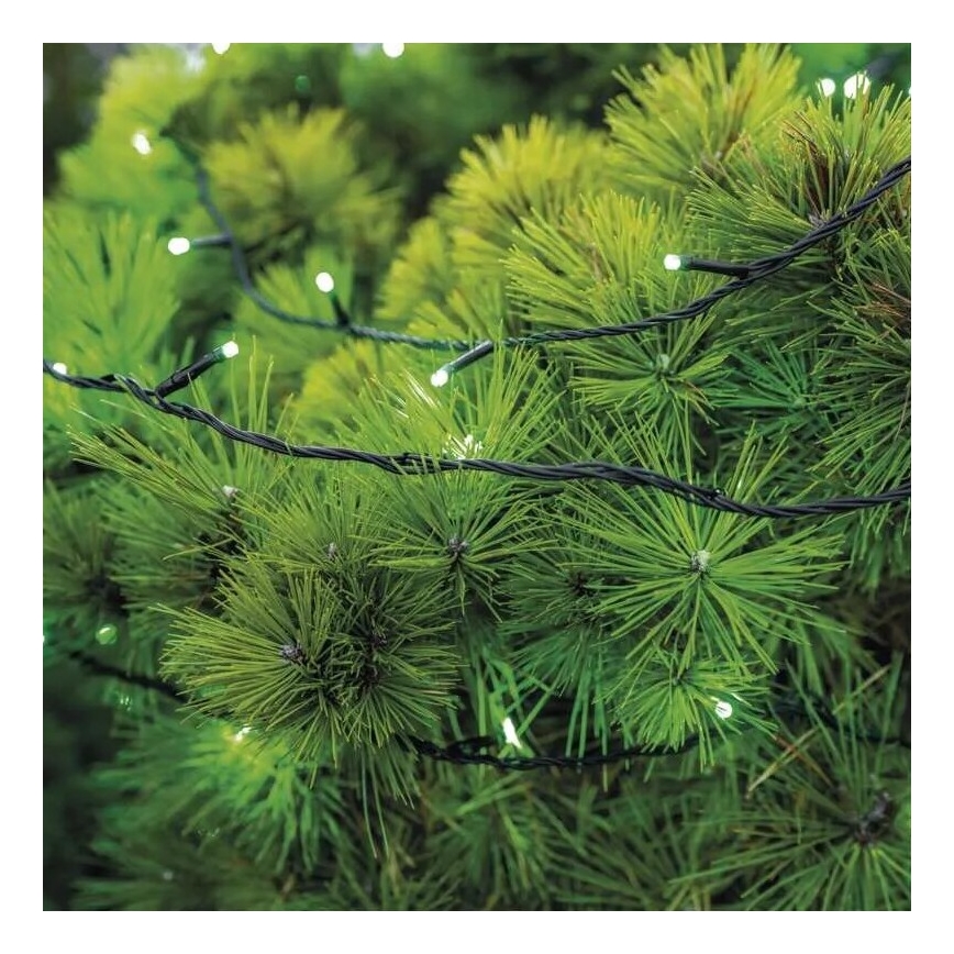 LED Kerst lichtsnoer voor buiten 100xLED/10m IP44 groen