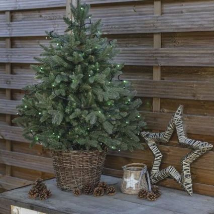 LED Kerst lichtsnoer voor buiten 100xLED/10m IP44 groen