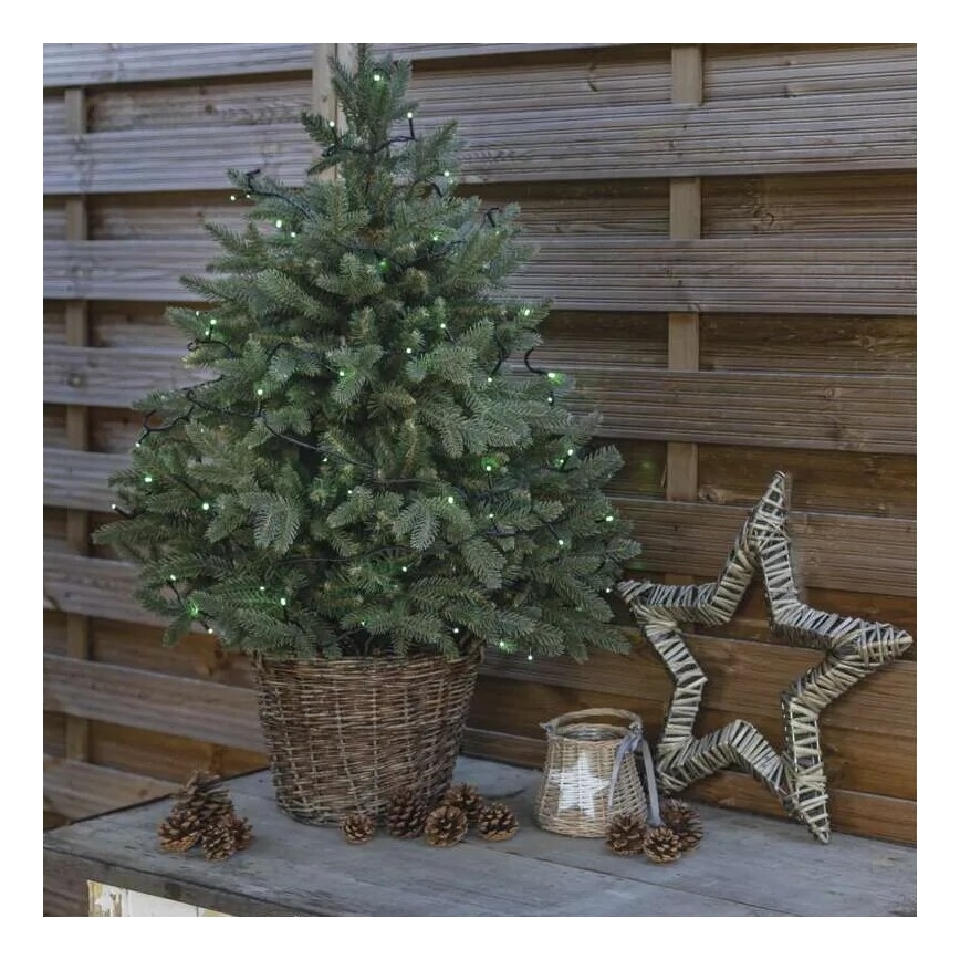 LED Kerst lichtsnoer voor buiten 100xLED/10m IP44 groen