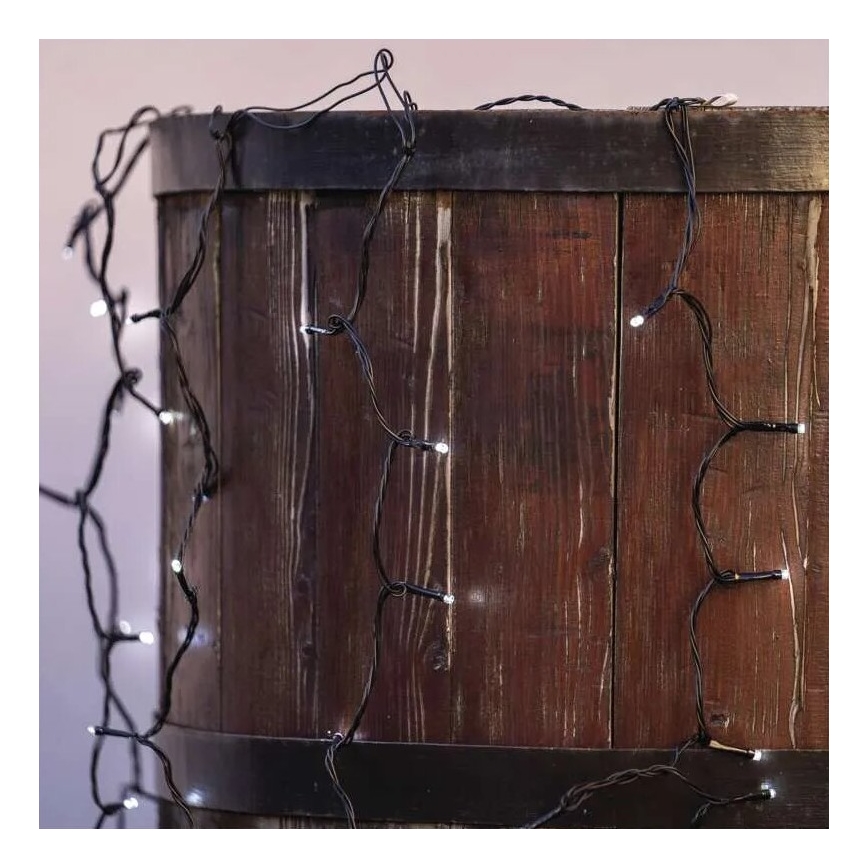 LED Kerst lichtsnoer voor buiten 100xLED/1x2m IP44 koud wit