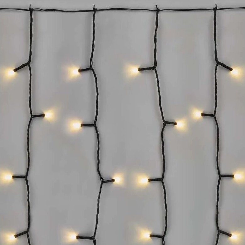 LED Kerst lichtsnoer voor buiten 100xLED/1x2m IP44 warm wit