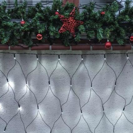 LED Kerst lichtsnoer voor buiten 160xLED/2x1,5m IP44 koud wit