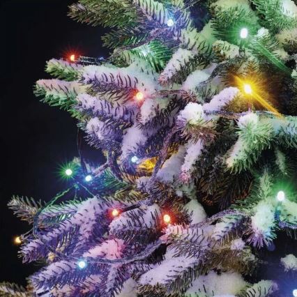 LED Kerst lichtsnoer voor buiten 50xLED/5m IP44 Meerdere kleuren