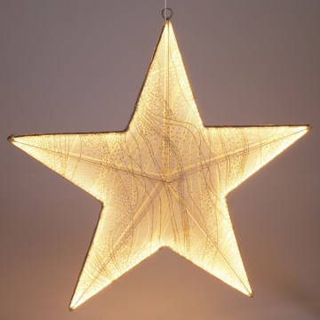 LED Kerstdecoratie 248xLED/6W/230V 59 cm warm wit ster/goud