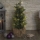 LED-kerstdecoratie 30xLED/3xAA IP44