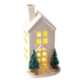 LED kerstdecoratie LED/3xLR44 warm wit