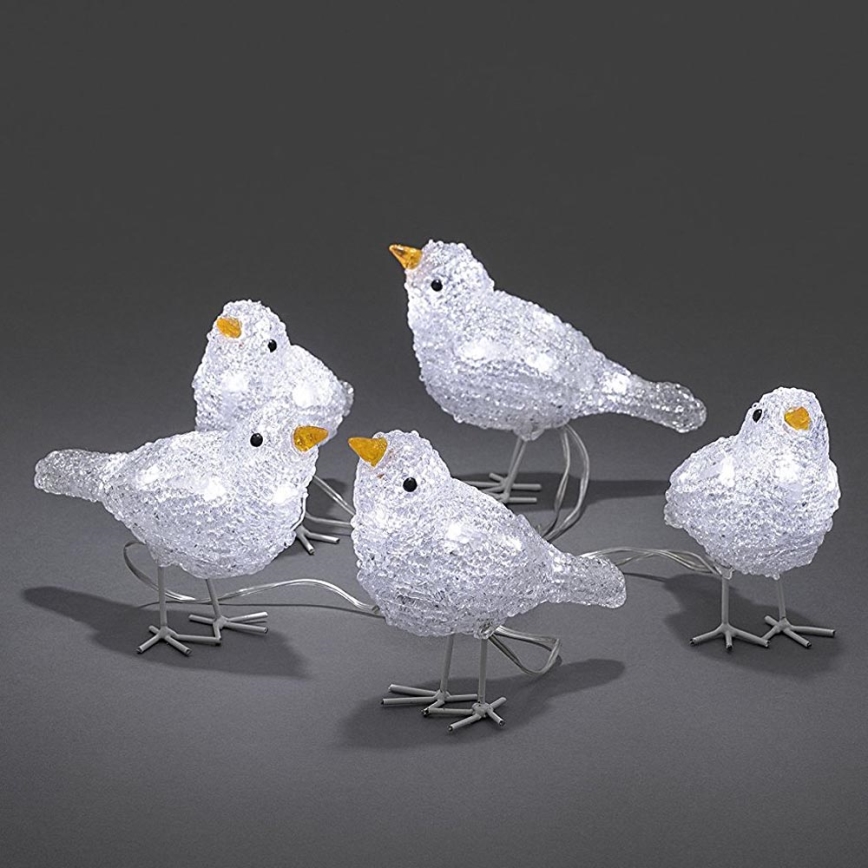 LED Kerstdecoratie voor buiten BIRDS 5xLED/230V/24V IP44