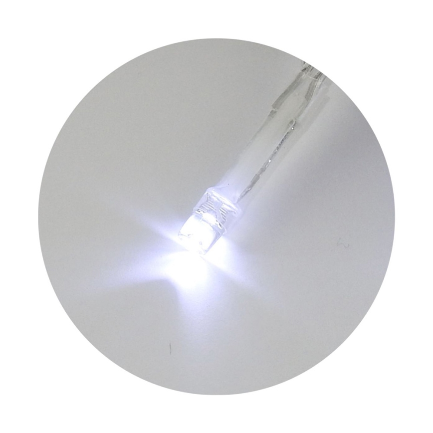 LED kerstverlichting 20xLED/2 functies 2,4m koel wit